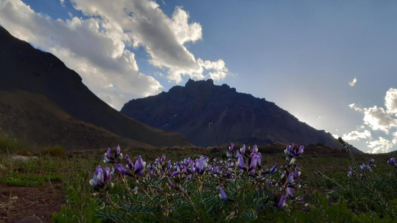 Hospedaje Lenas Del Tolosa Las Cuevas  Buitenkant foto